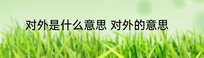 对外是什么意思 对外的意思