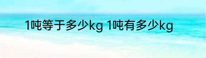 1吨等于多少kg 1吨有多少kg