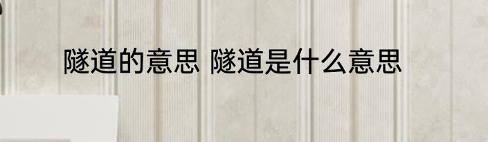 隧道的意思 隧道是什么意思