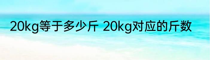 20kg等于多少斤 20kg对应的斤数