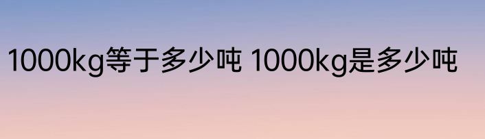 1000kg等于多少吨 1000kg是多少吨