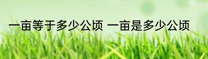一亩等于多少公顷 一亩是多少公顷