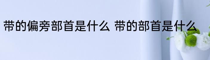 带的偏旁部首是什么 带的部首是什么
