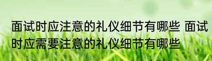 面试时应注意的礼仪细节有哪些 面试时应需要注意的礼仪细节有哪些