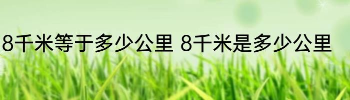 8千米等于多少公里 8千米是多少公里