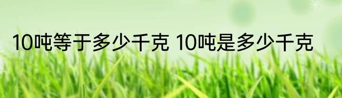10吨等于多少千克 10吨是多少千克