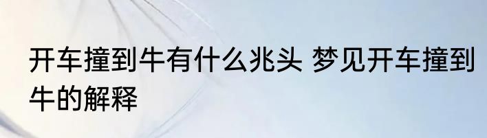开车撞到牛有什么兆头 梦见开车撞到牛的解释