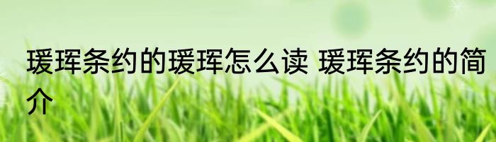 瑗珲条约的瑗珲怎么读 瑗珲条约的简介