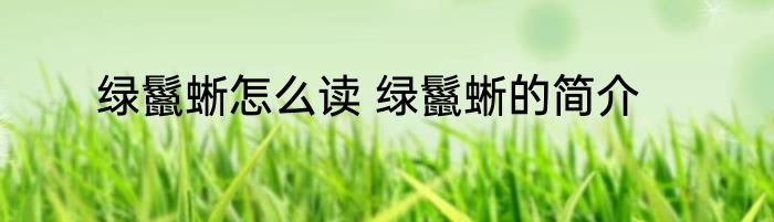 绿鬣蜥怎么读 绿鬣蜥的简介