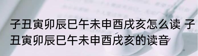 子丑寅卯辰巳午未申酉戌亥怎么读 子丑寅卯辰巳午未申酉戌亥的读音