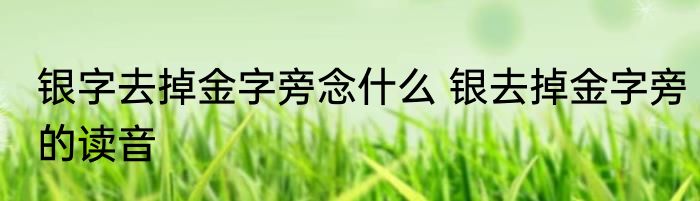 银字去掉金字旁念什么 银去掉金字旁的读音