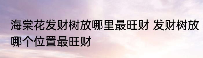 海棠花发财树放哪里最旺财 发财树放哪个位置最旺财