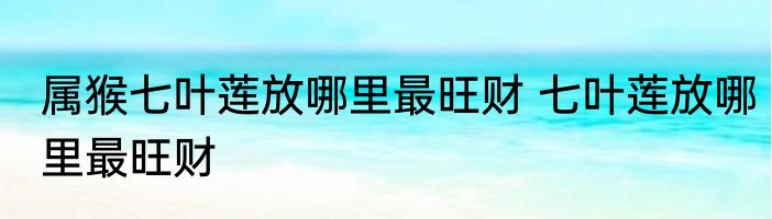 属猴七叶莲放哪里最旺财 七叶莲放哪里最旺财