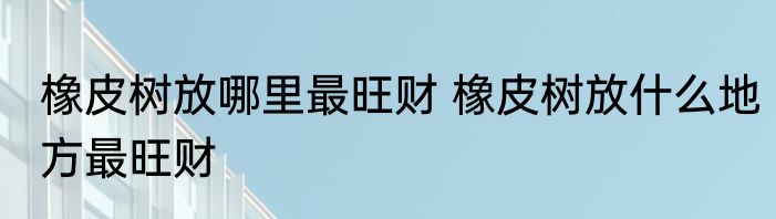 橡皮树放哪里最旺财 橡皮树放什么地方最旺财