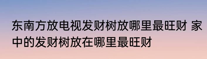 东南方放电视发财树放哪里最旺财 家中的发财树放在哪里最旺财
