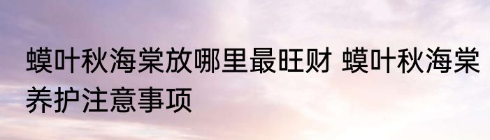 蟆叶秋海棠放哪里最旺财 蟆叶秋海棠养护注意事项
