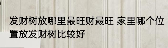 发财树放哪里最旺财最旺 家里哪个位置放发财树比较好