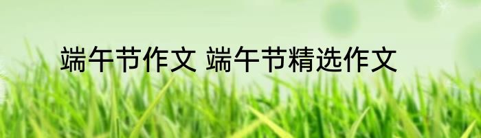 端午节作文 端午节精选作文