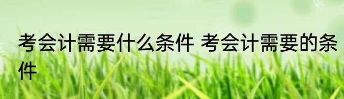考会计需要什么条件 考会计需要的条件