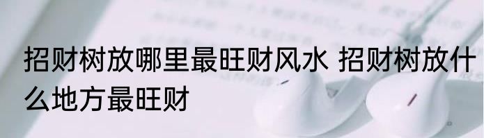 招财树放哪里最旺财风水 招财树放什么地方最旺财
