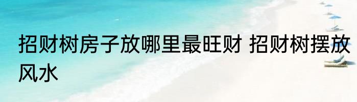 招财树房子放哪里最旺财 招财树摆放风水
