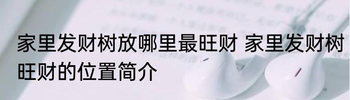 家里发财树放哪里最旺财 家里发财树旺财的位置简介