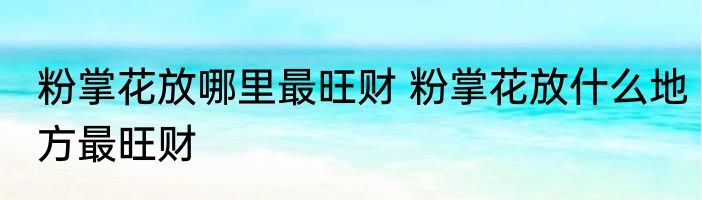 粉掌花放哪里最旺财 粉掌花放什么地方最旺财