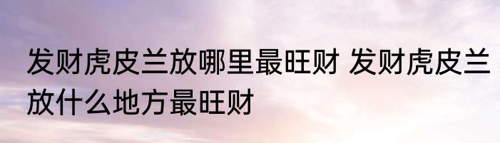 发财虎皮兰放哪里最旺财 发财虎皮兰放什么地方最旺财