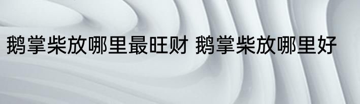 鹅掌柴放哪里最旺财 鹅掌柴放哪里好