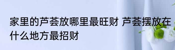 家里的芦荟放哪里最旺财 芦荟摆放在什么地方最招财