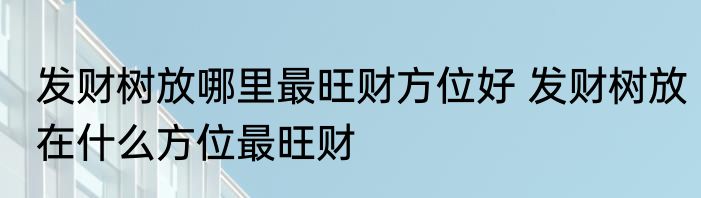 发财树放哪里最旺财方位好 发财树放在什么方位最旺财