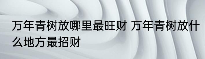 万年青树放哪里最旺财 万年青树放什么地方最招财