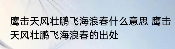 鹰击天风壮鹏飞海浪春什么意思 鹰击天风壮鹏飞海浪春的出处