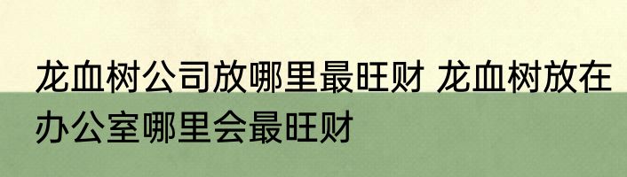龙血树公司放哪里最旺财 龙血树放在办公室哪里会最旺财