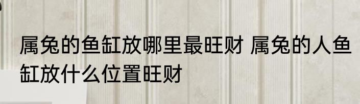 属兔的鱼缸放哪里最旺财 属兔的人鱼缸放什么位置旺财
