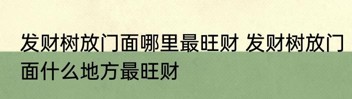 发财树放门面哪里最旺财 发财树放门面什么地方最旺财