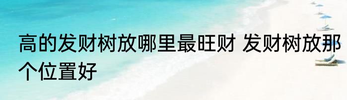 高的发财树放哪里最旺财 发财树放那个位置好