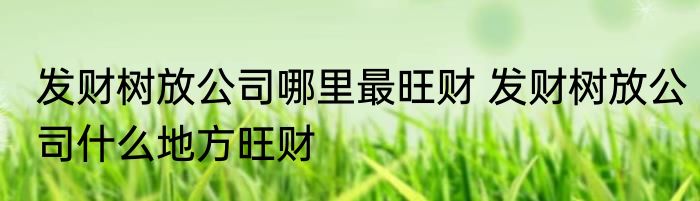 发财树放公司哪里最旺财 发财树放公司什么地方旺财