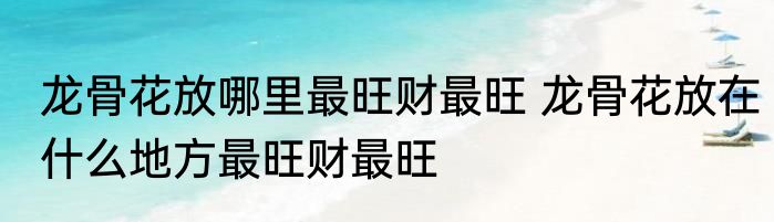 龙骨花放哪里最旺财最旺 龙骨花放在什么地方最旺财最旺