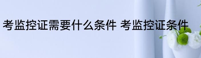 考监控证需要什么条件 考监控证条件