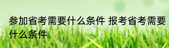参加省考需要什么条件 报考省考需要什么条件