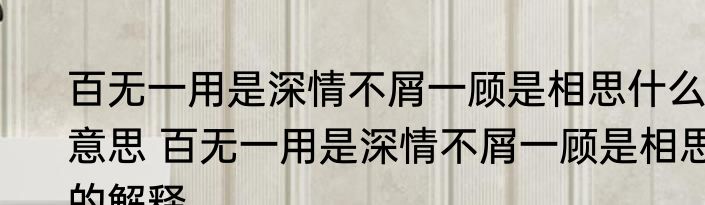 百无一用是深情不屑一顾是相思什么意思 百无一用是深情不屑一顾是相思的解释