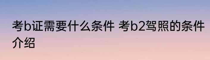 考b证需要什么条件 考b2驾照的条件介绍