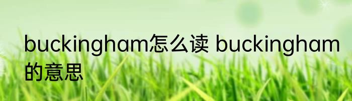 buckingham怎么读 buckingham的意思