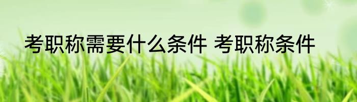 考职称需要什么条件 考职称条件