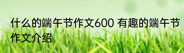 什么的端午节作文600 有趣的端午节作文介绍