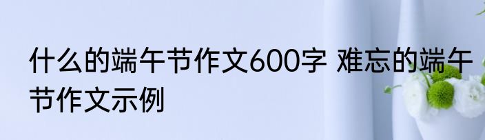 什么的端午节作文600字 难忘的端午节作文示例