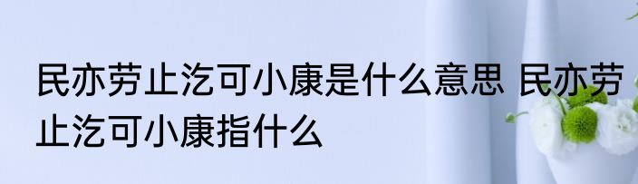 民亦劳止汔可小康是什么意思 民亦劳止汔可小康指什么