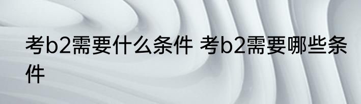 考b2需要什么条件 考b2需要哪些条件