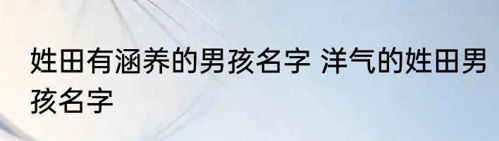 姓田有涵养的男孩名字 洋气的姓田男孩名字